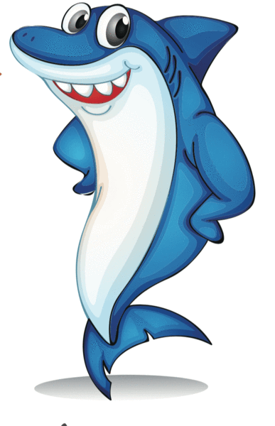 Medium Sharkie Bid Pack